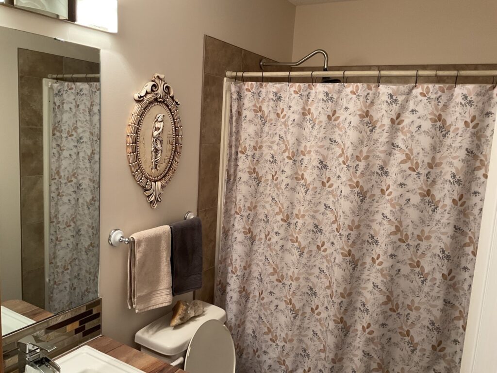 Rons painting red deer interior bathroom painted walls